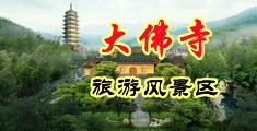 免费性网站在线免费观看中国浙江-新昌大佛寺旅游风景区
